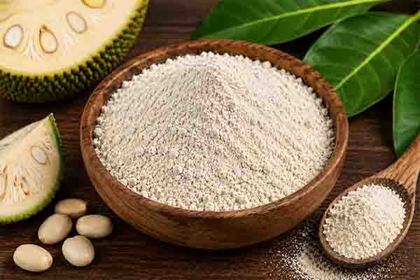 Jackfruit Flour