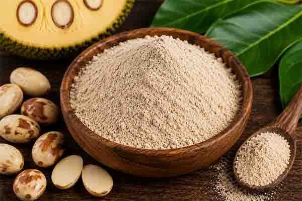 Jackfruit Seeds Flour
